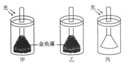 某生物興趣小組為探究綠色植物的 光合作用和呼吸作用,設計了如下實驗裝置.請分析作答: (1) 若要探究光是光合作用的必要條件.應該選擇的實驗裝置組合是 .若要探究氧氣是由綠色植物在光下產(chǎn)生的.應該選擇的實驗裝置組合是 .(2) 甲裝置試管中收集的氣體可以使帶火星的衛(wèi)生香復燃.說明綠色植物的光合作用釋放出 .(3) 有同學利用甲裝置進行了進一步探究,實驗題目和參考答案-