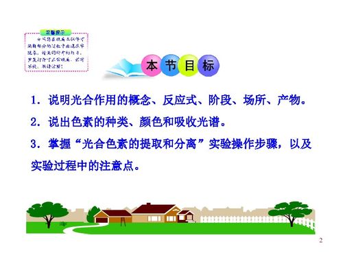 第三章 第五節(jié) 第一課時 光合作用概述 葉綠素和其他色素 浙科版必修1 浙江專用 下載 生物