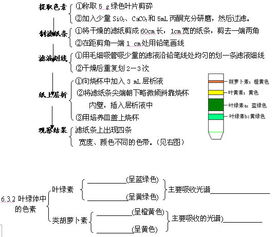 高考生物學(xué)知識要點的自我梳理 二