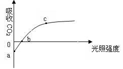 14分 某研究者利用栽在花盆中的植物,對植物的光合作用與呼吸作用進行了相關的研究,圖甲表示此盆綠色植物在兩種不同溫度下釋放氧氣的快慢與光照強度的關系,圖乙是測定圖甲縱坐標上