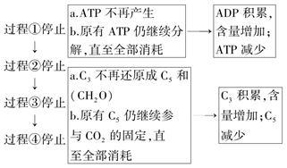 &ldquo;模型法&rdquo;分析光合作用過(guò)程中的物質(zhì)含量變化