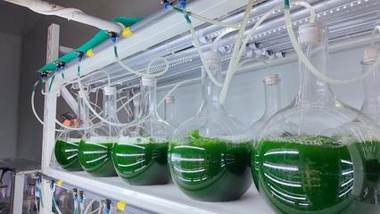 新華視點(diǎn)|微距探新