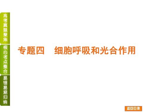 2014屆高考生物二輪復(fù)習(xí) 細(xì)胞呼吸和光合作用專(zhuān)題精講