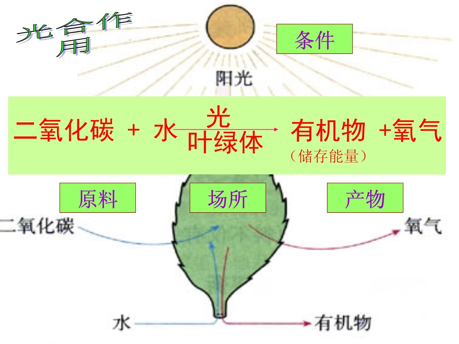 無(wú)復(fù)燃光合作用需要二氧化碳 課件詳解